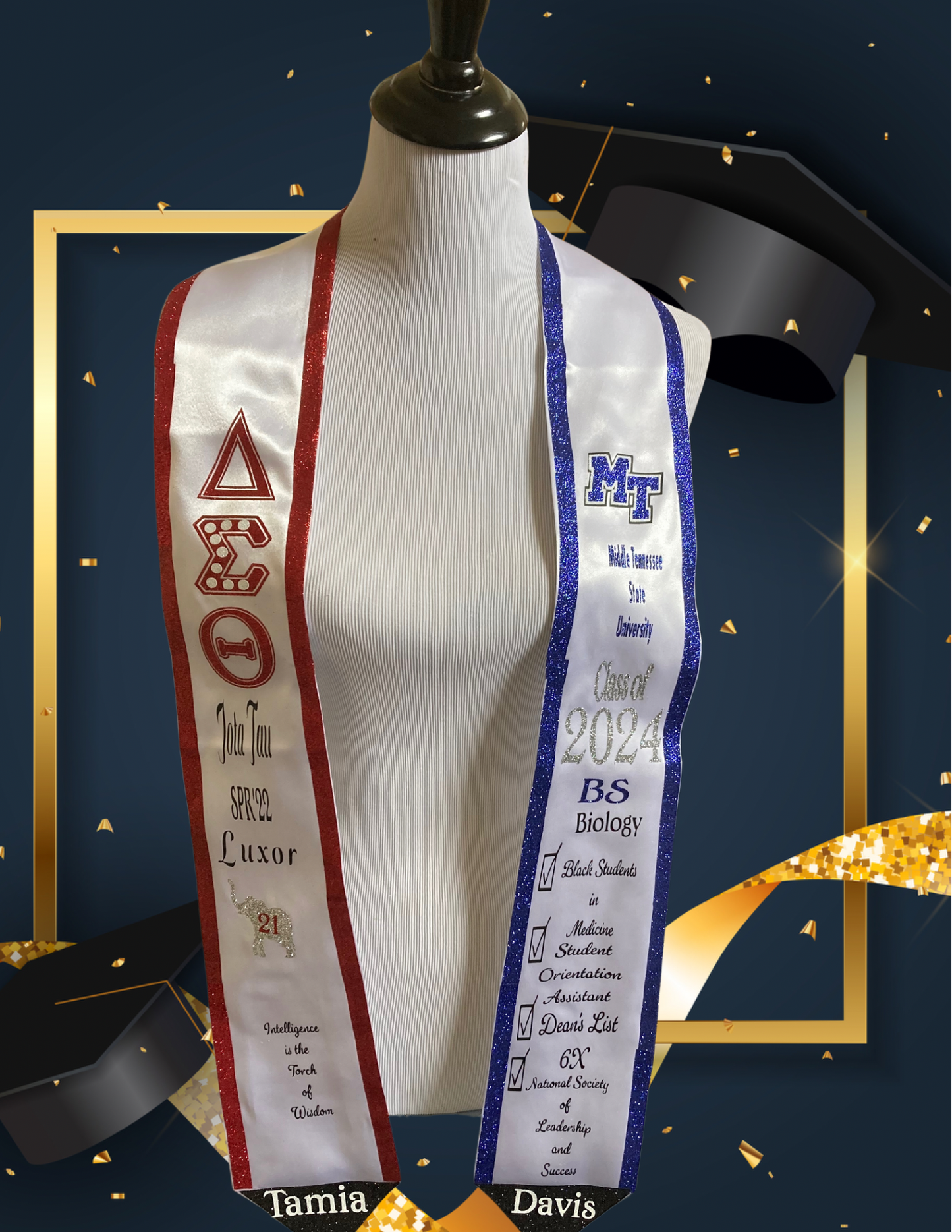 Custom HTV Graduation Stole 🎓✨